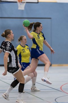 Bild 95 - F HSG Pinnau2 - Rellinger TV2 : Ergebnis: 27:20